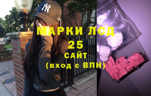 хмурый Абаза
