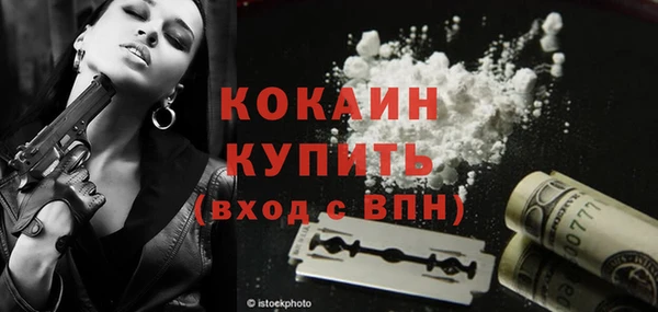 хмурый Абаза