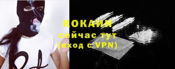 меф Арсеньев