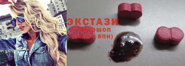 хмурый Абаза