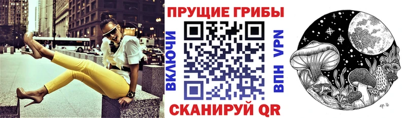 omg сайт  дарнет шоп  Эртиль  Псилоцибиновые грибы прущие грибы 